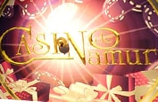 namur casino logo